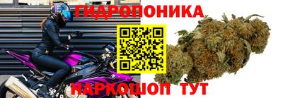mix Краснознаменск