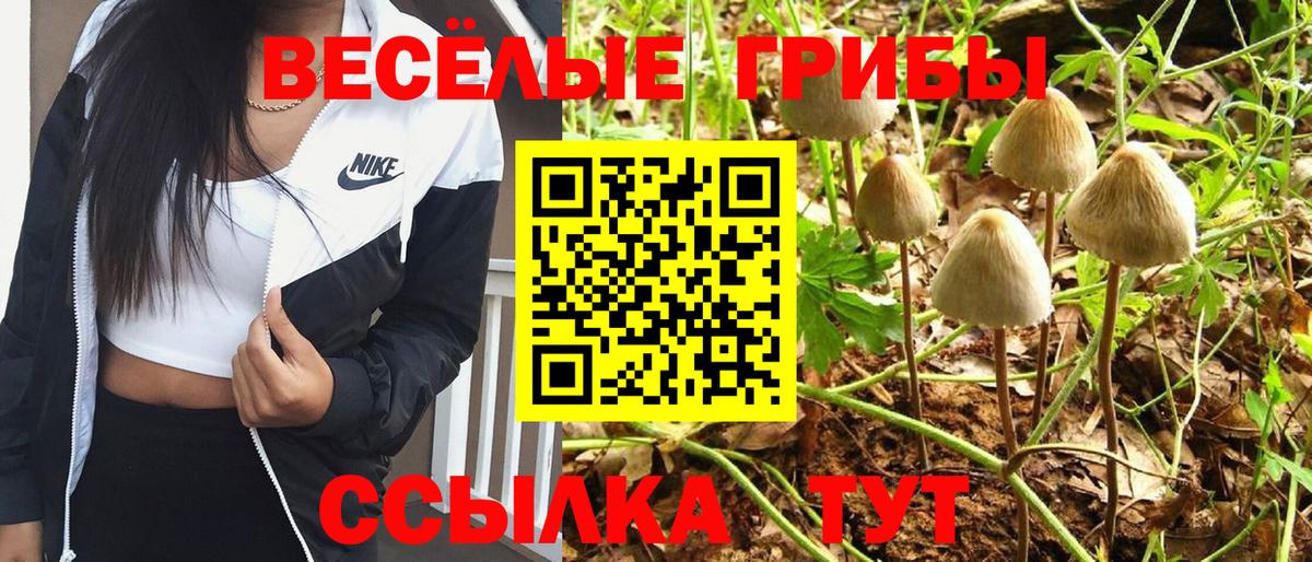 КОКАИН Ковров