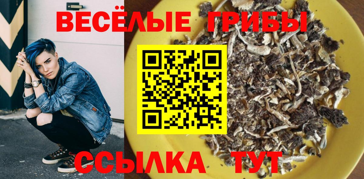 Галлюциногенные грибы прущие грибы  Вход с VPN  Галлюциногенные грибы Magic Shrooms  Ковров 